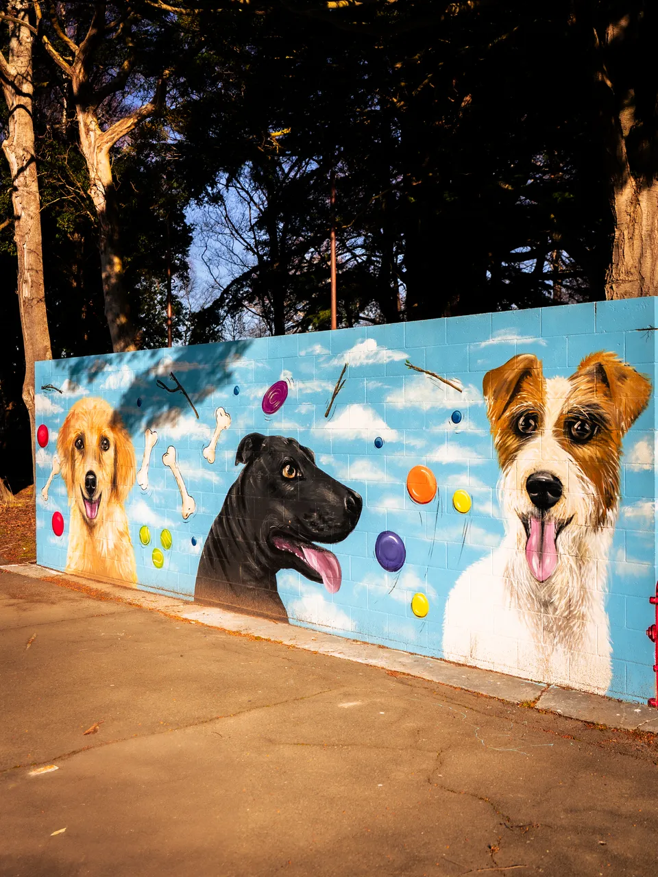 0825-Clutha-Alice-Murals-63