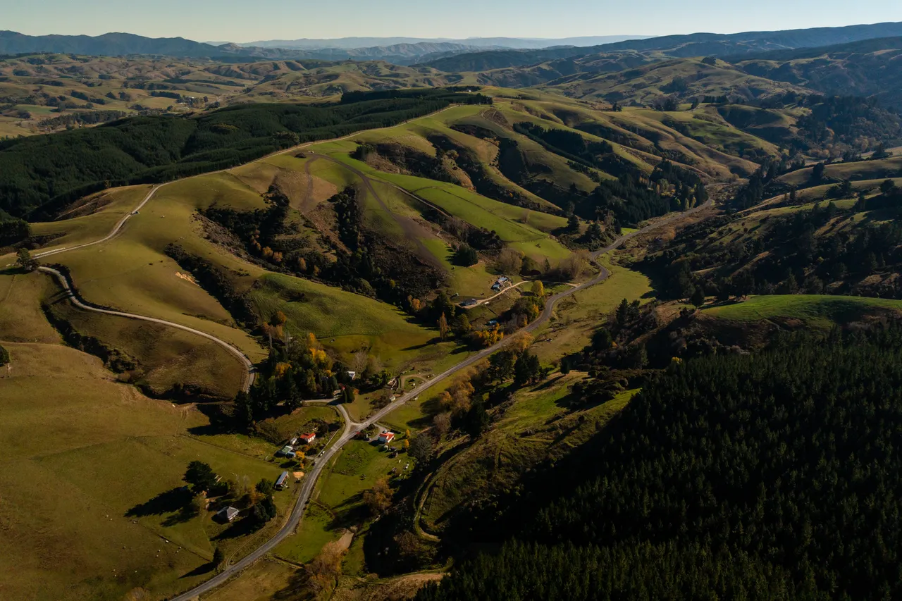 Road and paddocks 