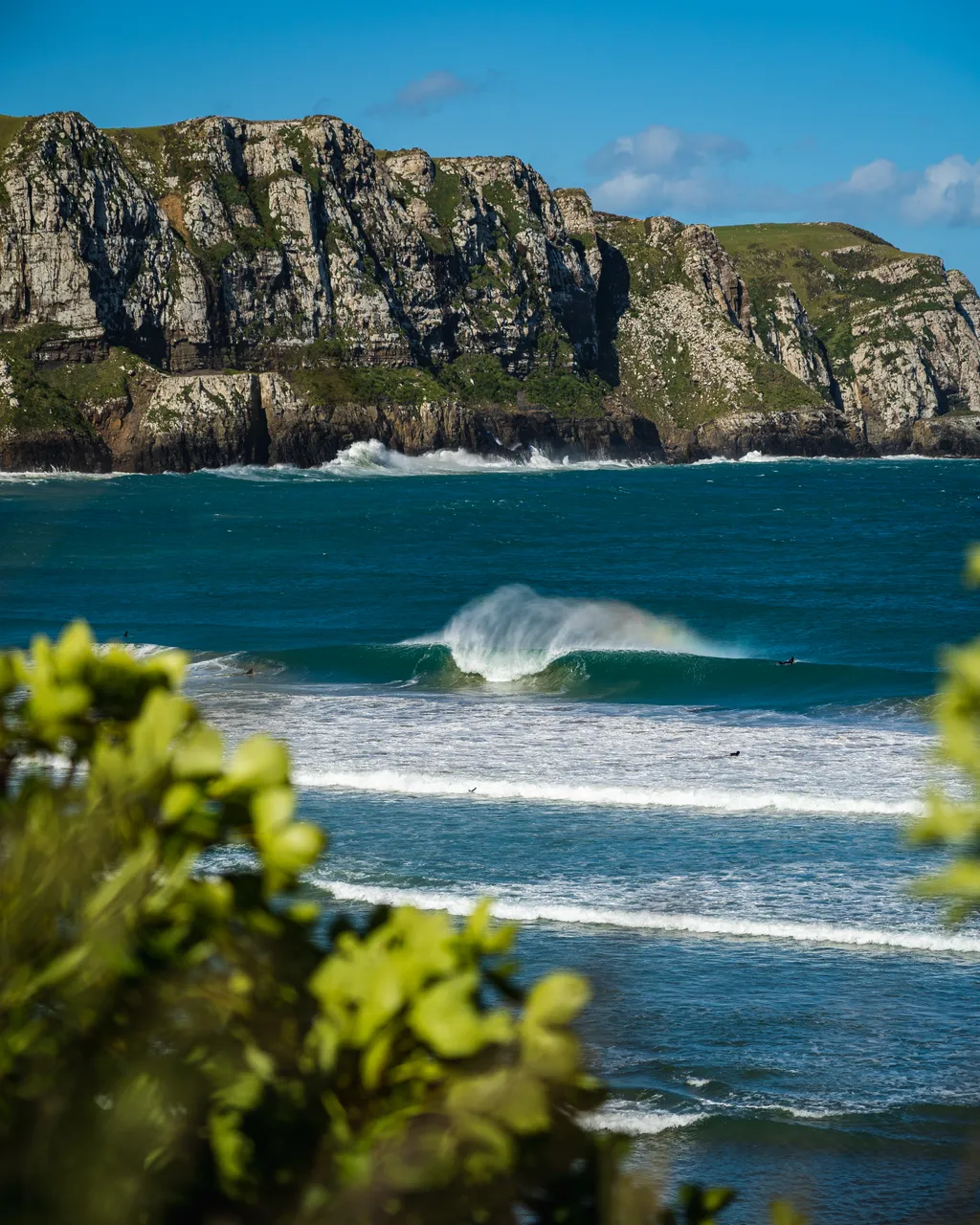 Sea and cliffs