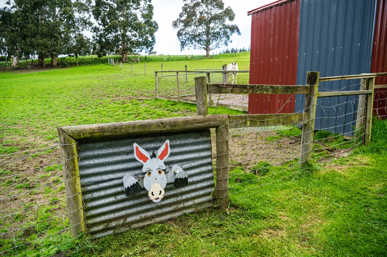 Paddock and fence