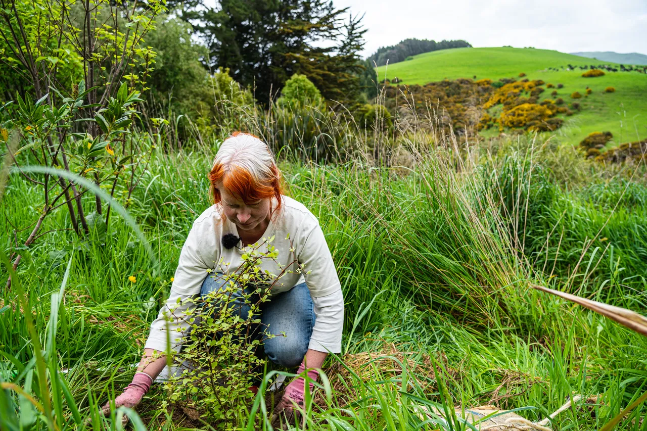 Janine Thompson planting a tree