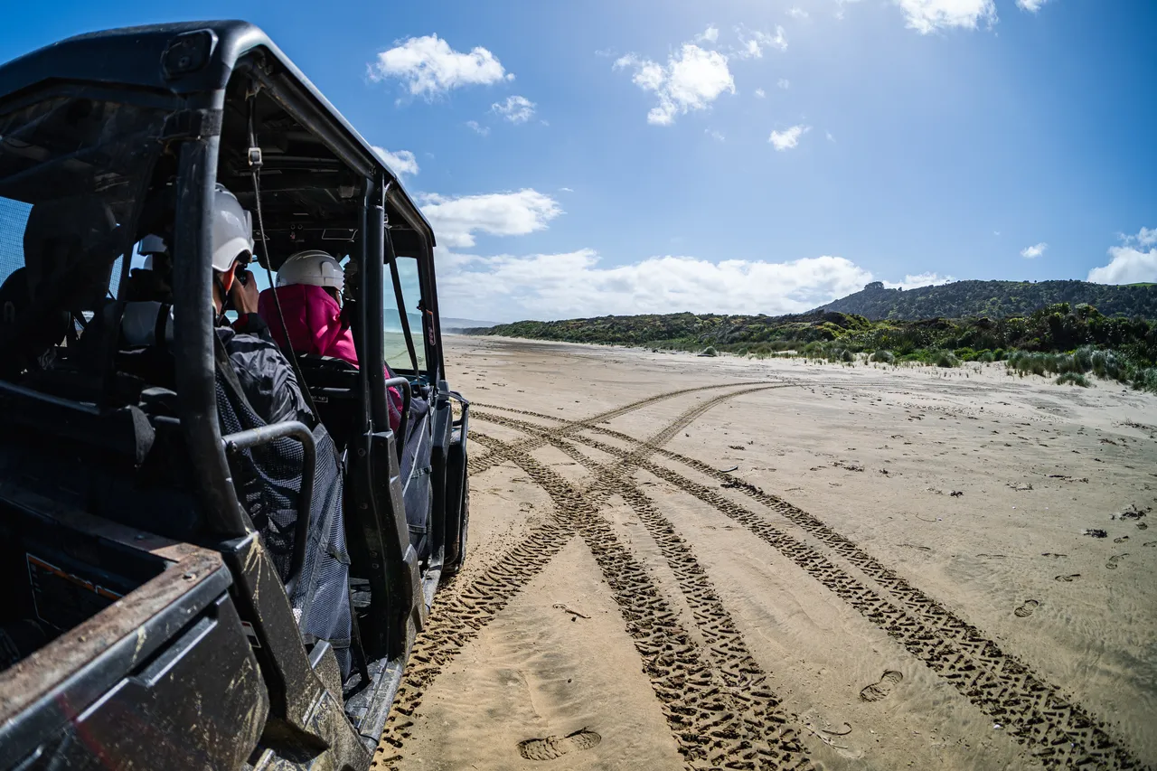 Side by side driving on the beach