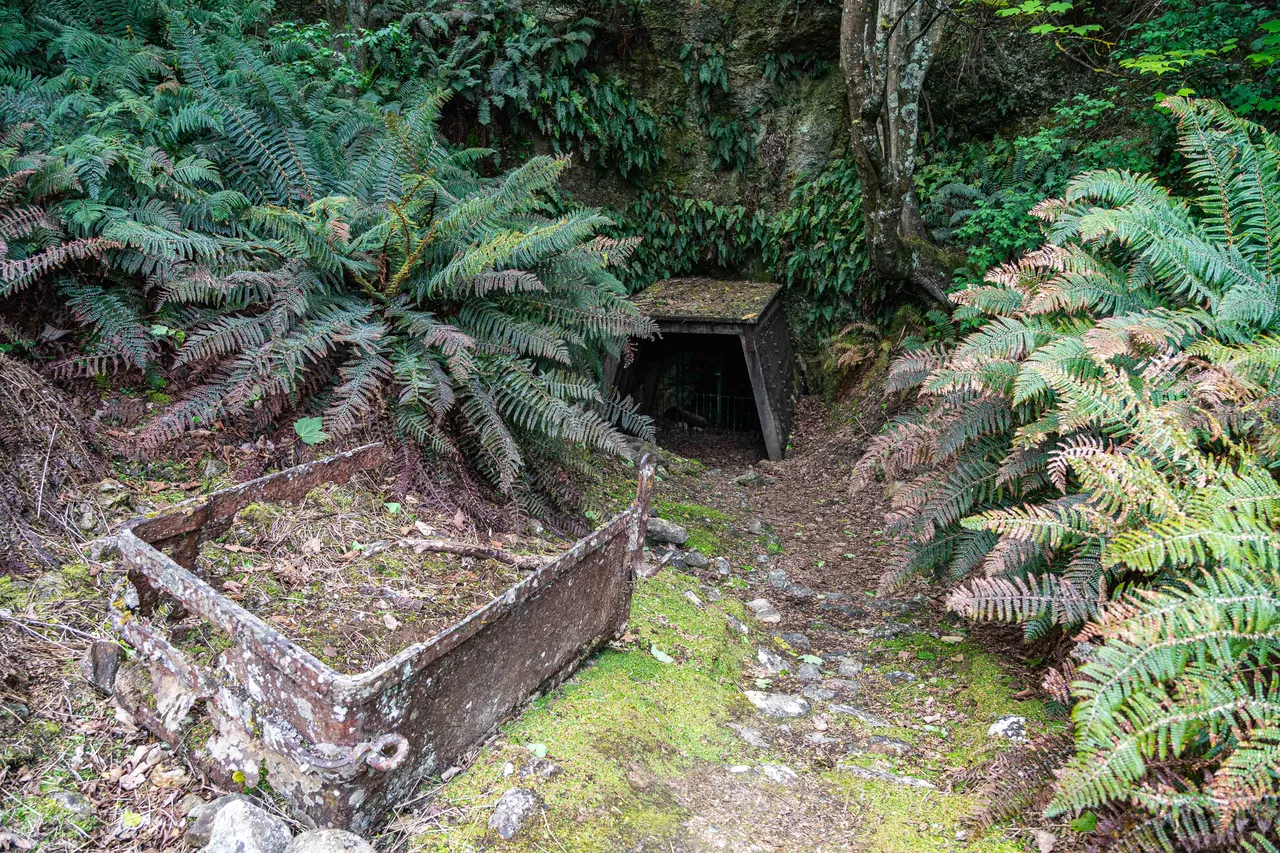 Old mineshaft