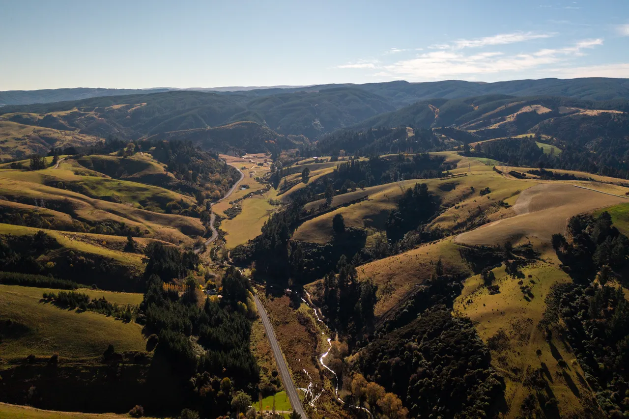 Road and paddocks 