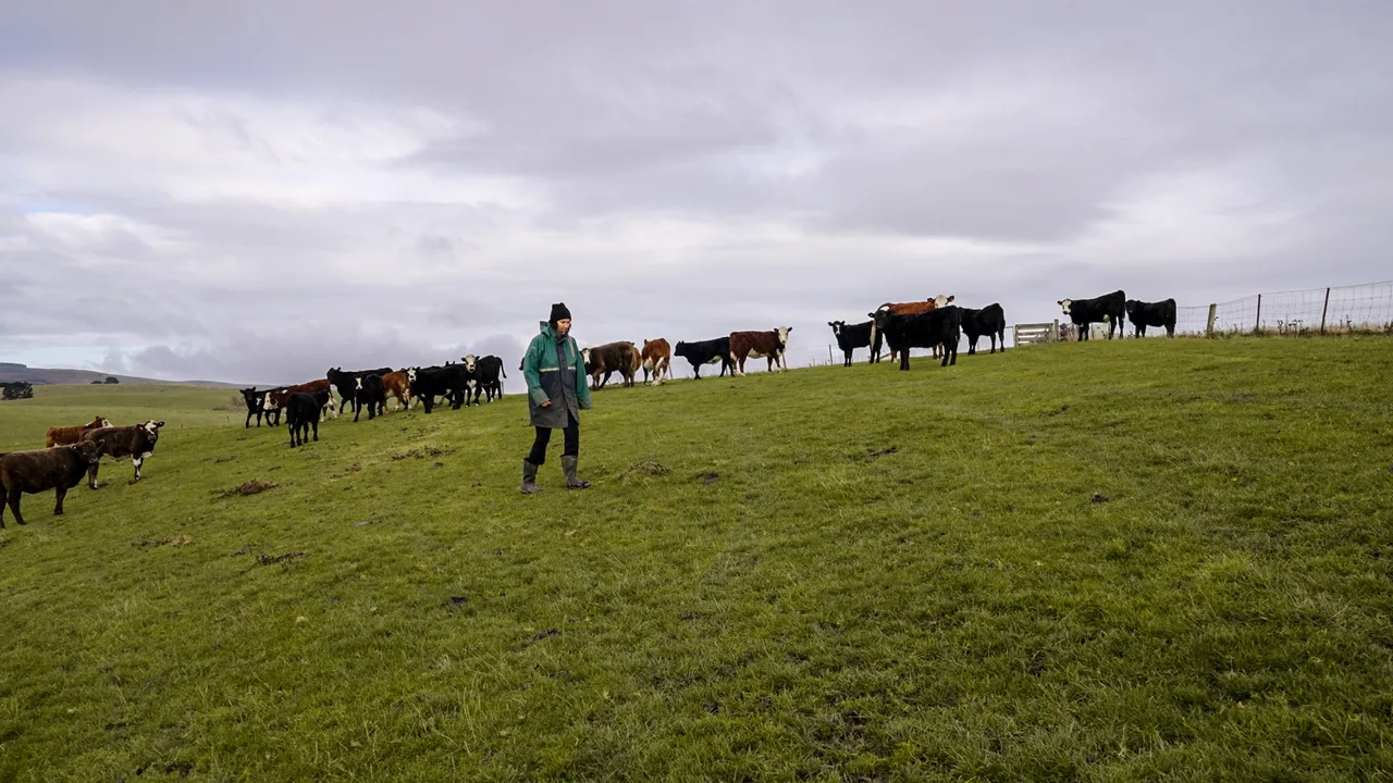 0624-Clutha-Sarahs-Farm-16