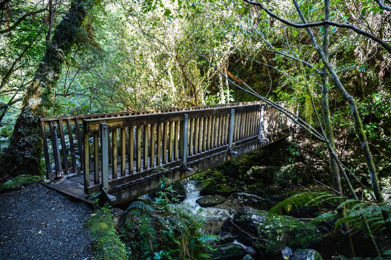 Bridge in the bush