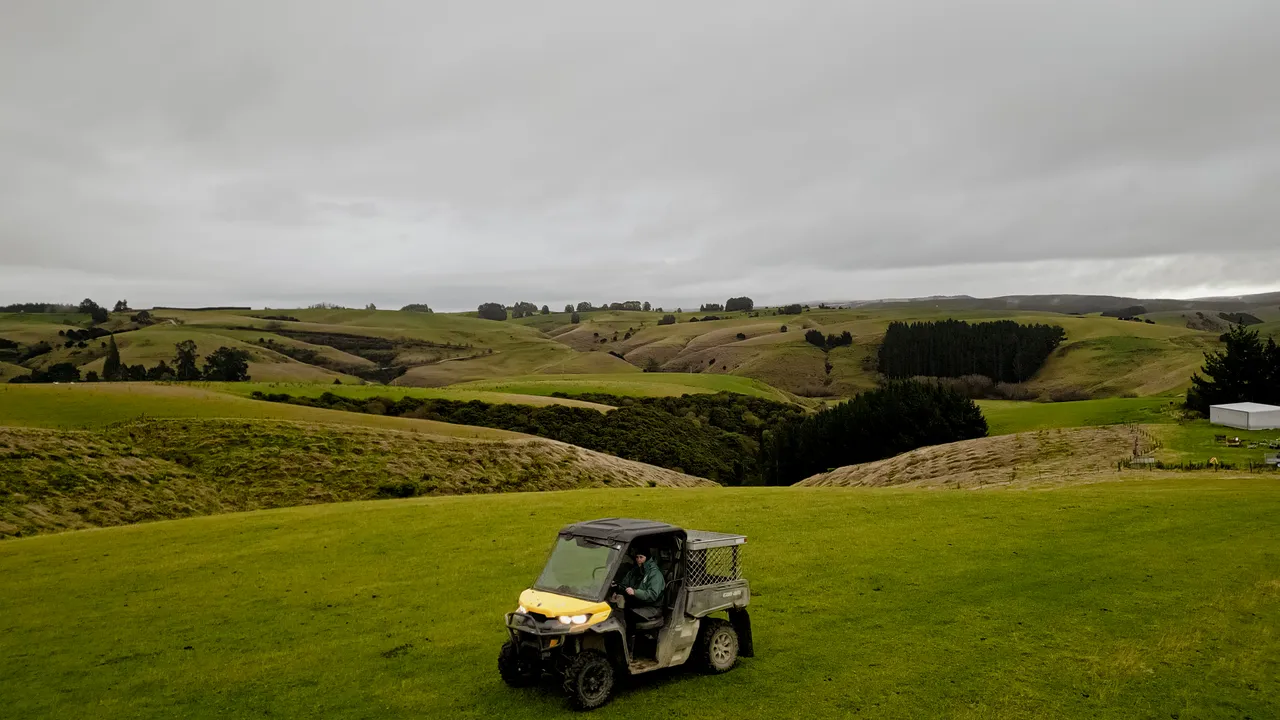 0624-Clutha-Sarahs-Farm-65