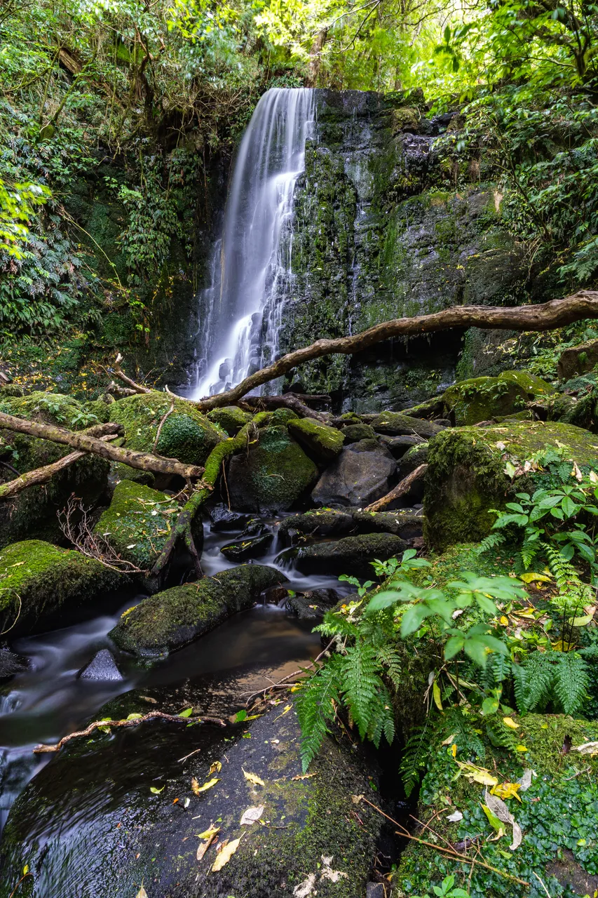 Waterfall and rocks in the bush