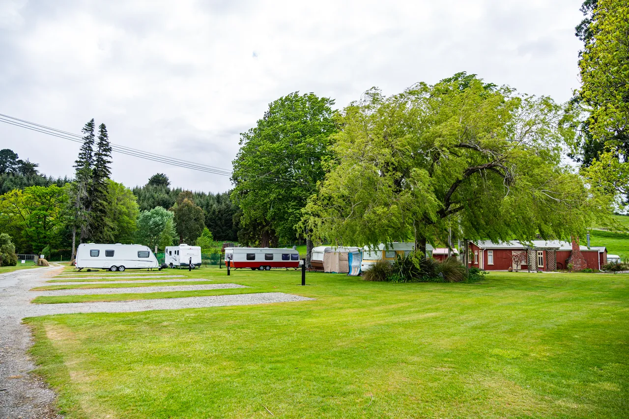 Trees and caravans parked on grass