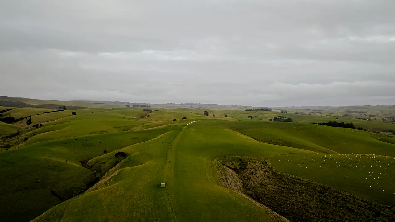 0624-Clutha-Sarahs-Farm-53