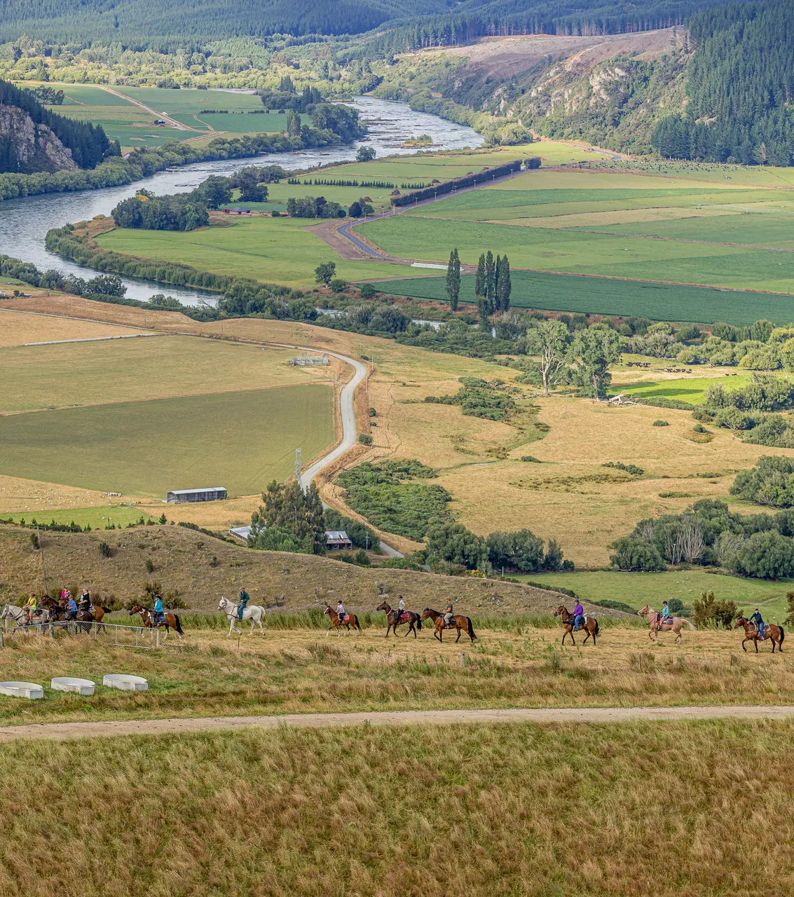 Lawrence Horse Trek