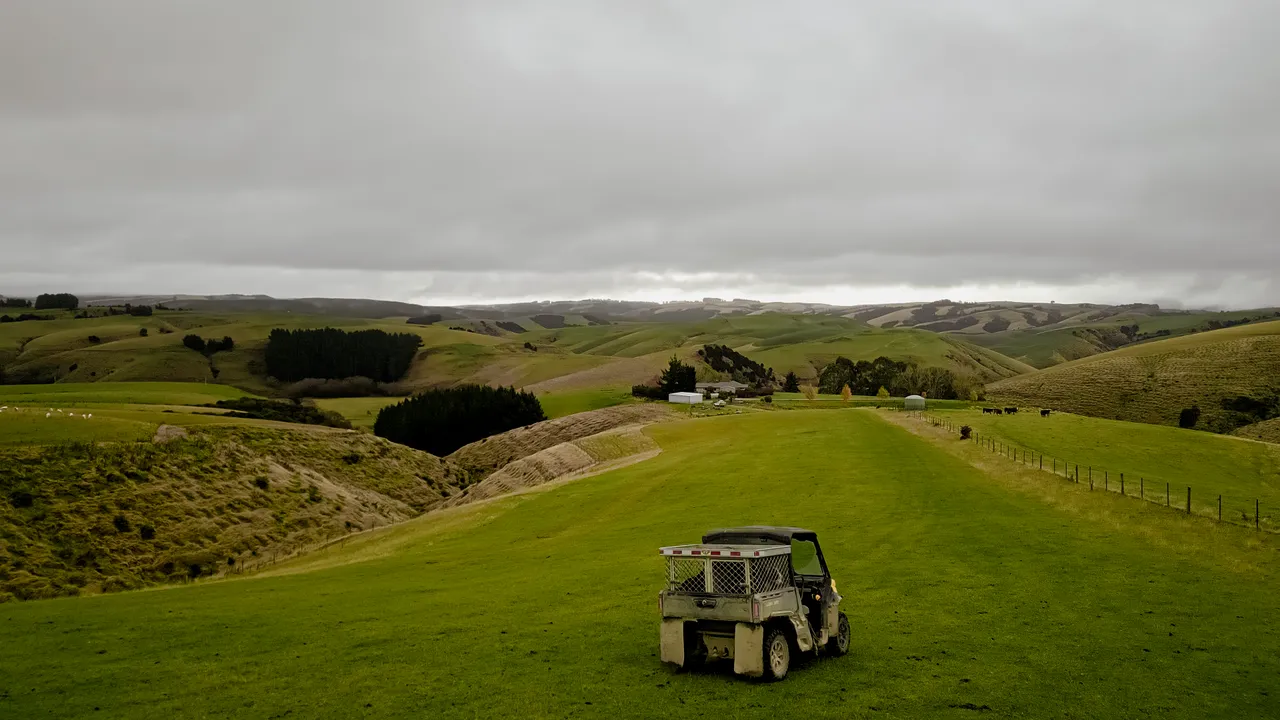 0624-Clutha-Sarahs-Farm-69