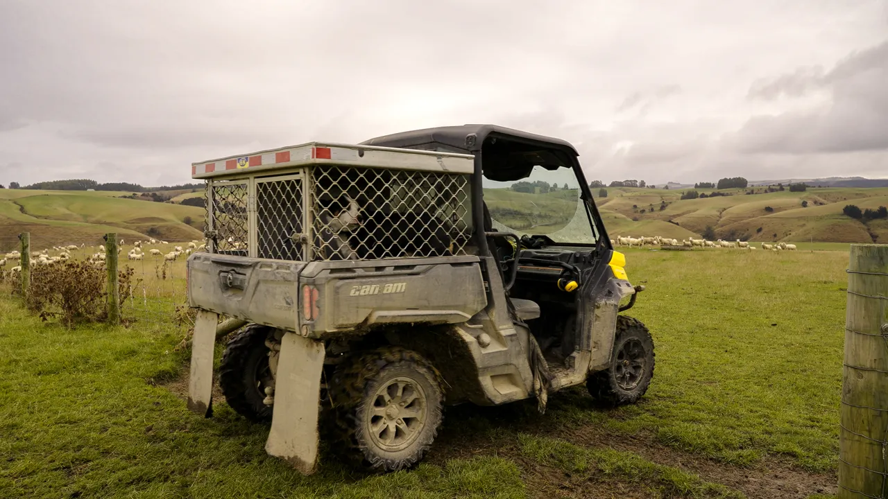 0624-Clutha-Sarahs-Farm-38