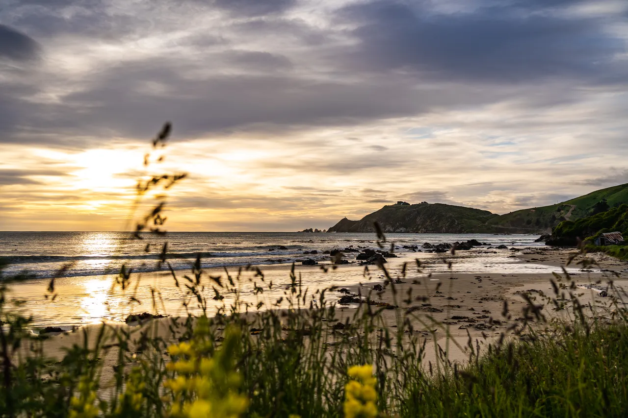 Grass and the sea