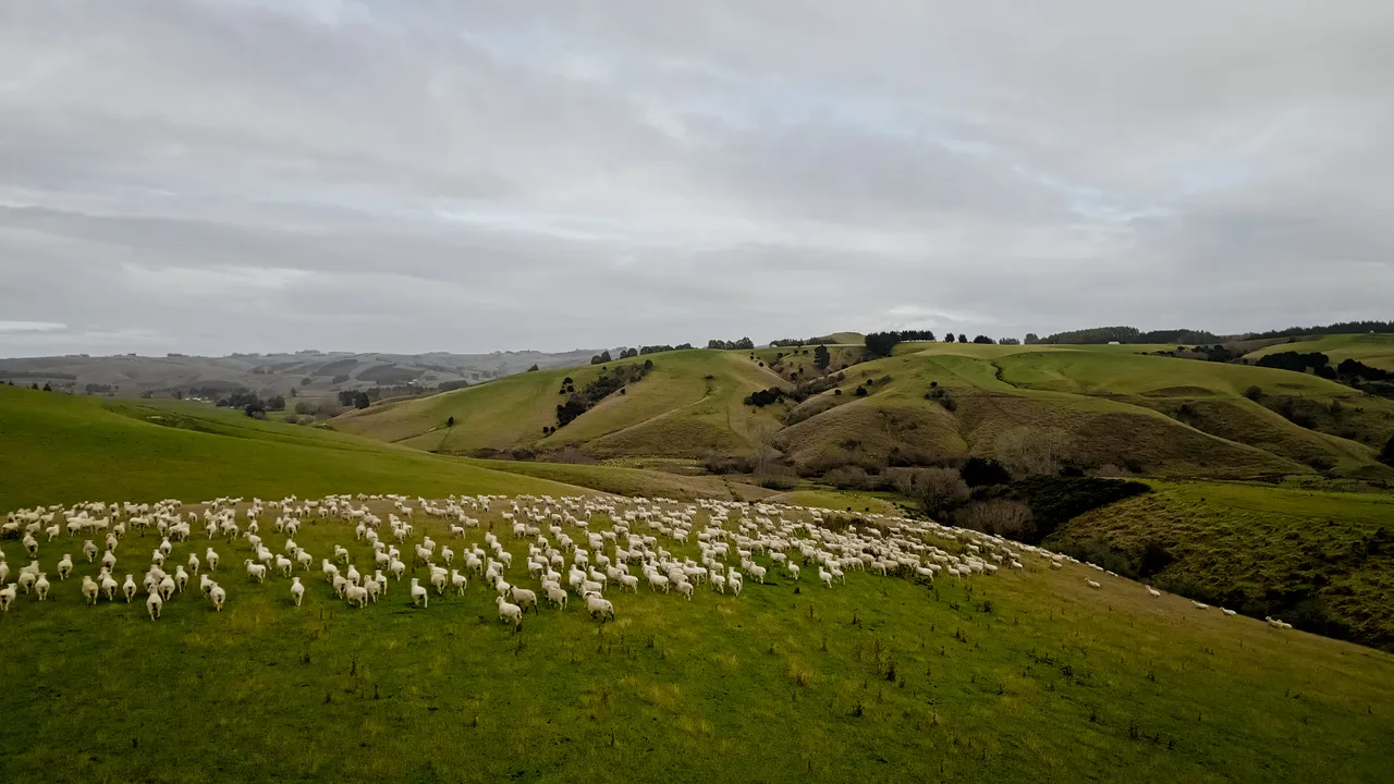 0624-Clutha-Sarahs-Farm-79