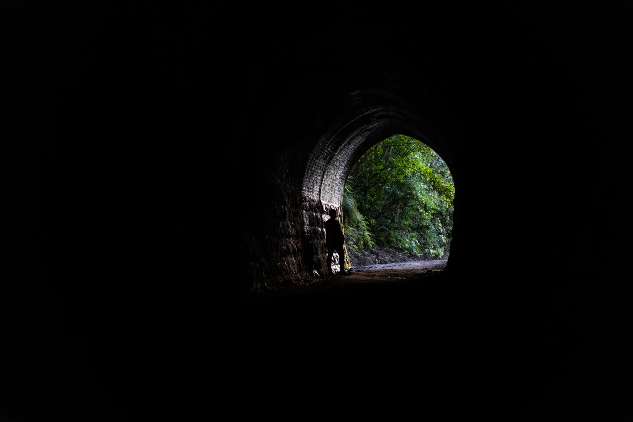 Trees outside tunnel