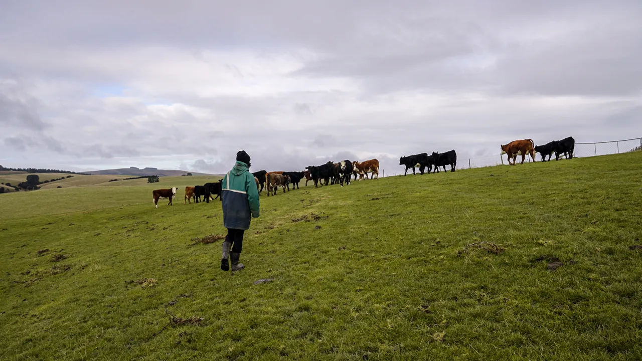 0624-Clutha-Sarahs-Farm-18