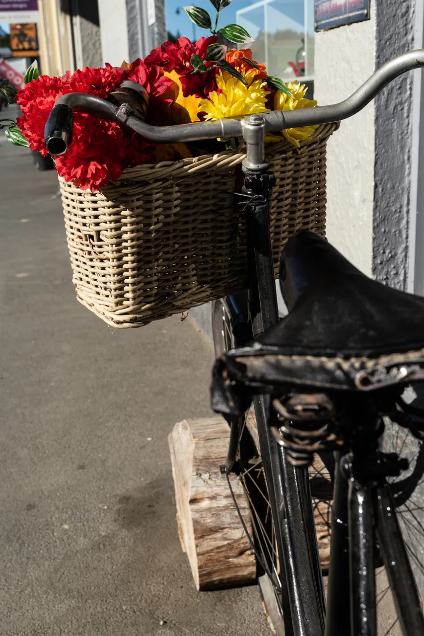 Bike with flowers in basket
