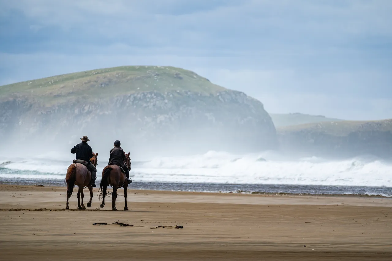 Horses on the beach by the sea