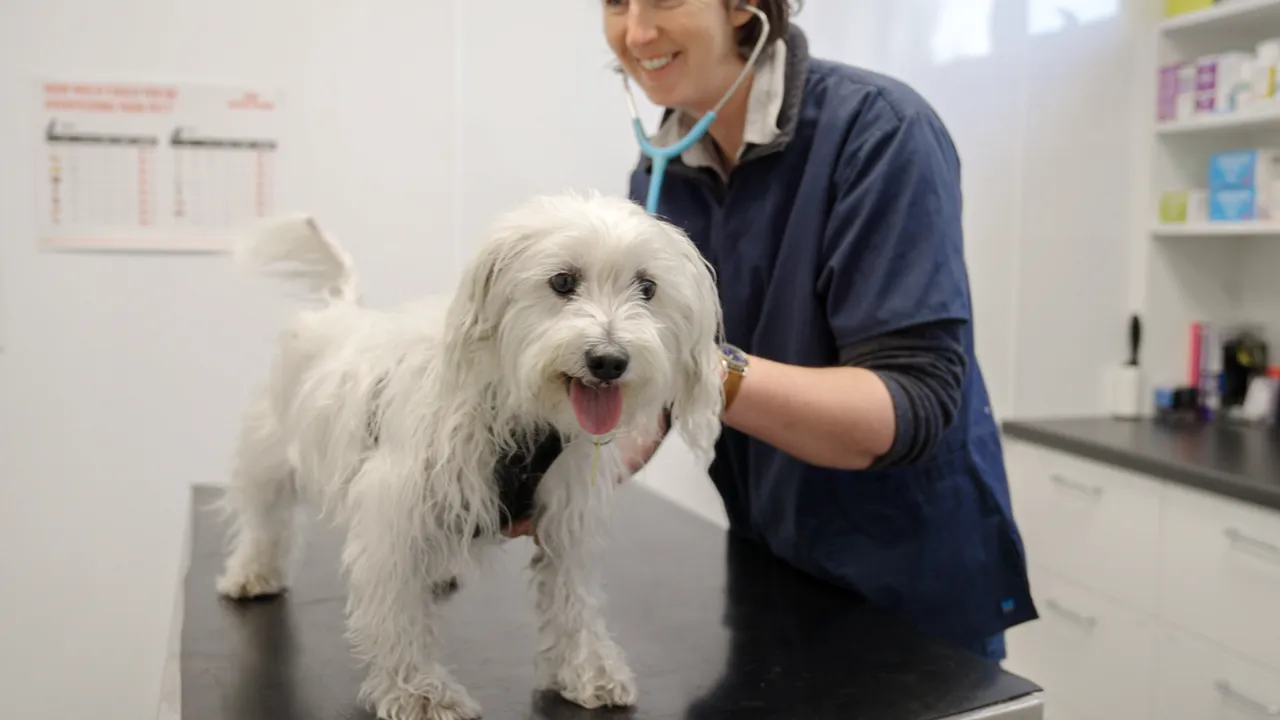 0624-Clutha-Vets-Lawrence-25