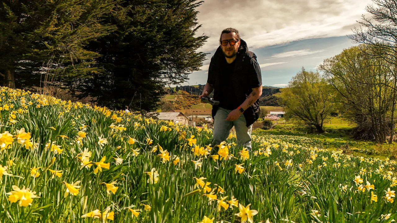 0924-Clutha-Weatherston-Daffodils-12
