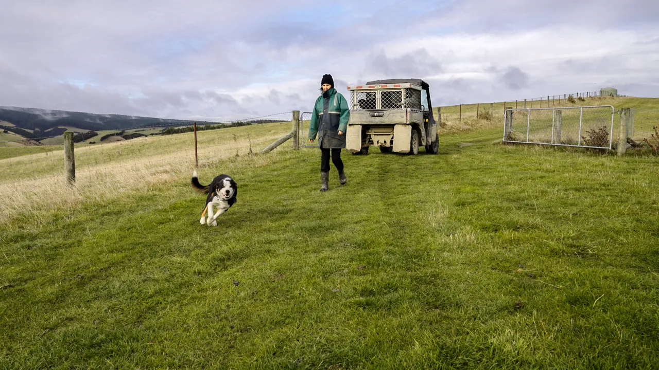 0624-Clutha-Sarahs-Farm-03