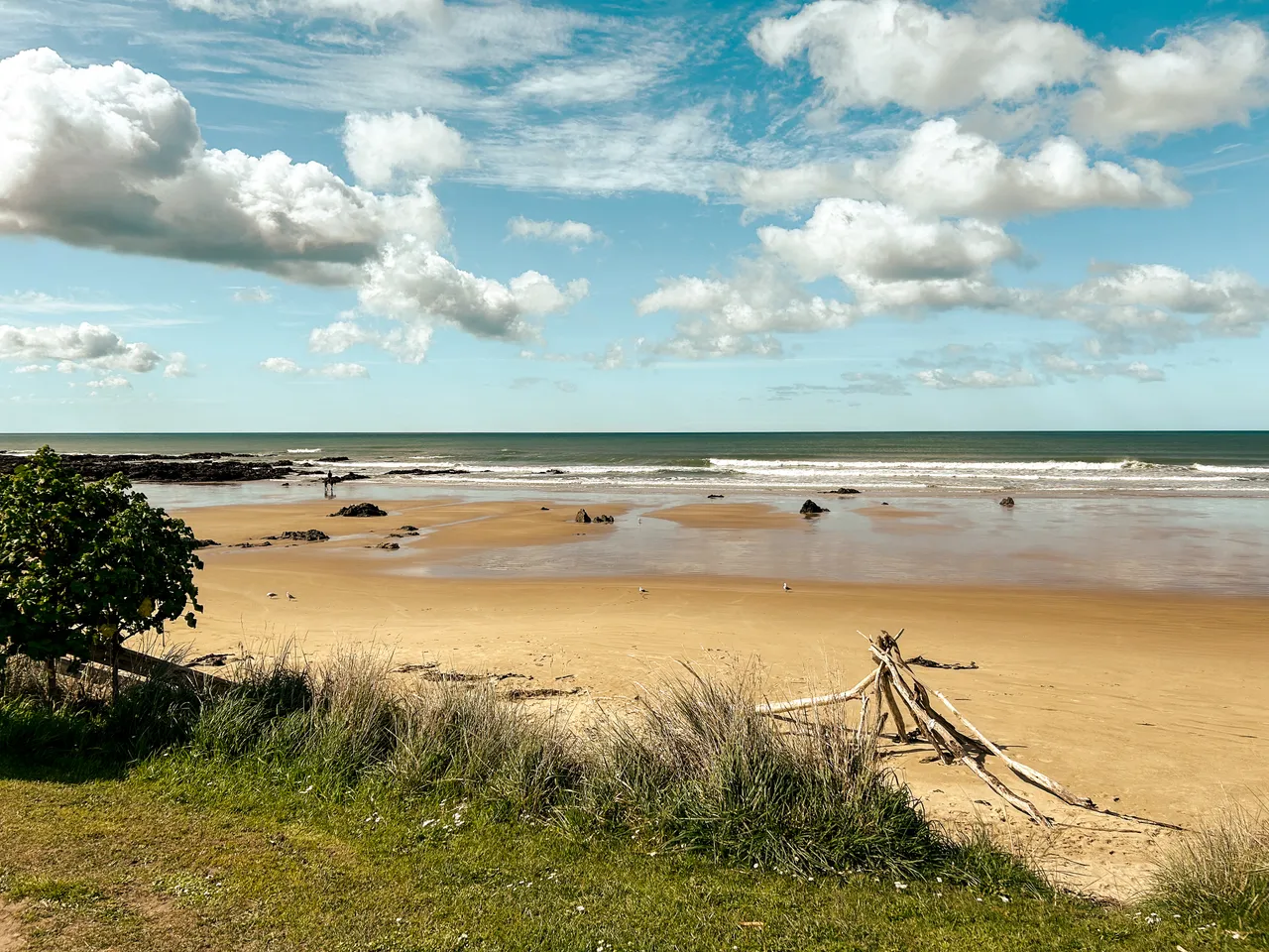 0924-Clutha-Kaka-Point-27