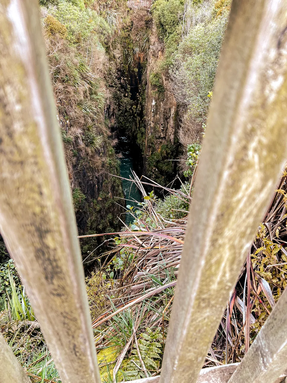 0924-Clutha-Jacks-Bay-09