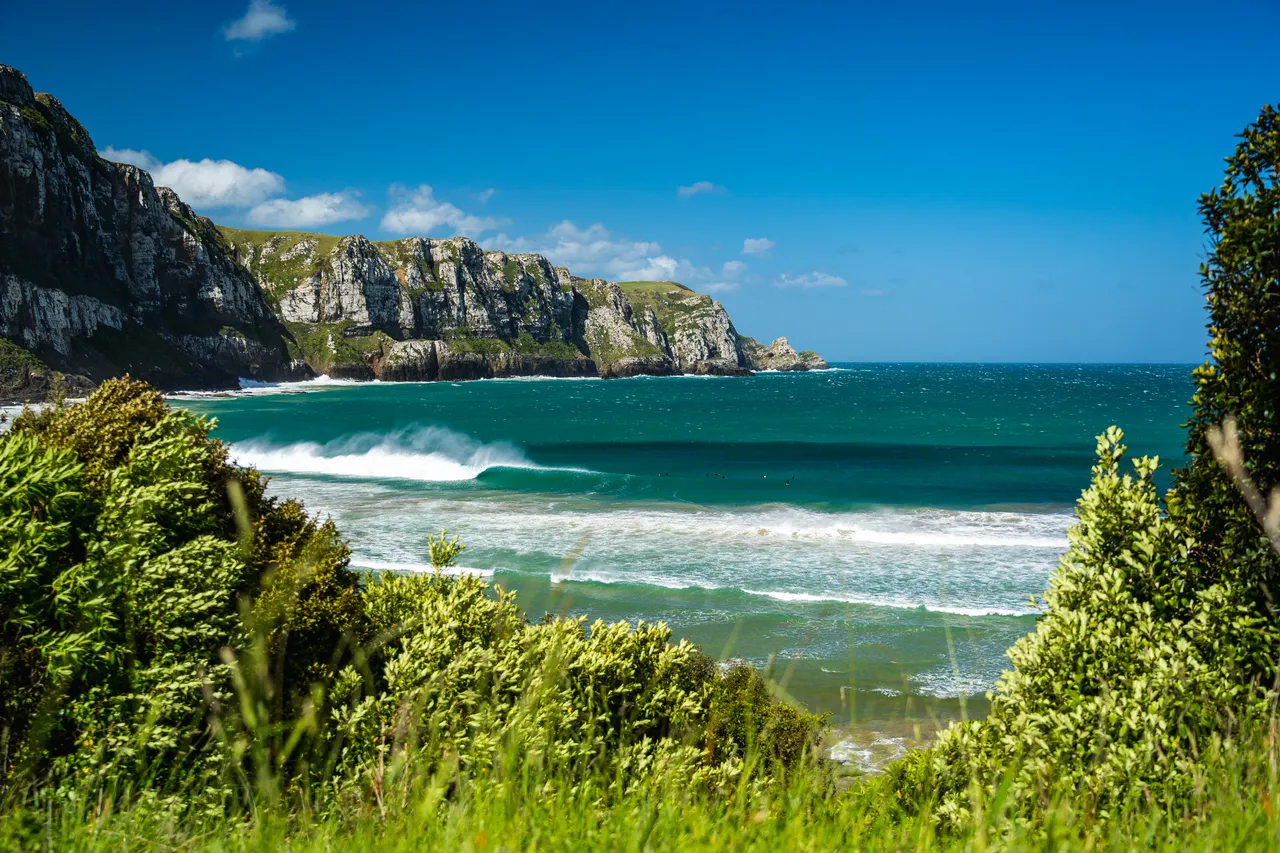 Sea and cliffs