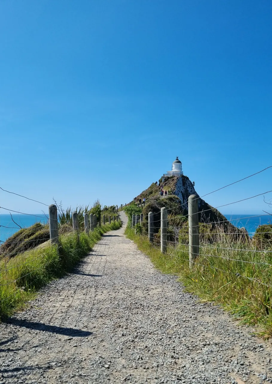 Nugget Point Lighthouse-4