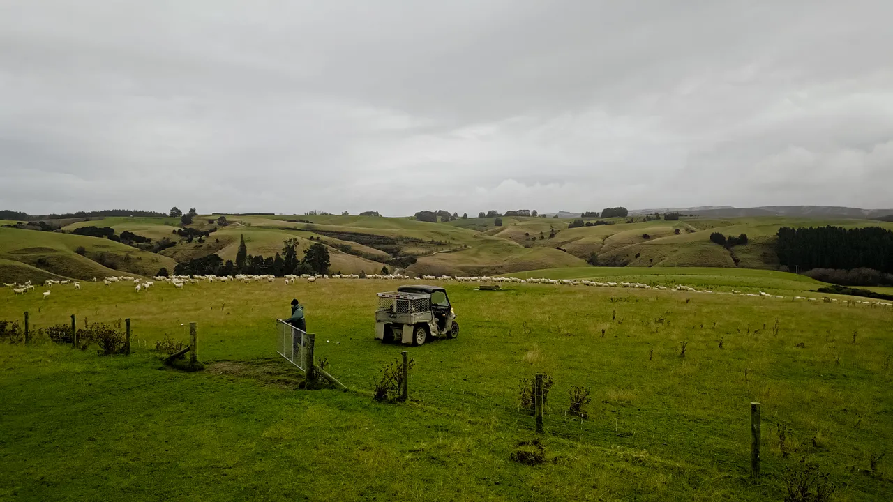 0624-Clutha-Sarahs-Farm-73