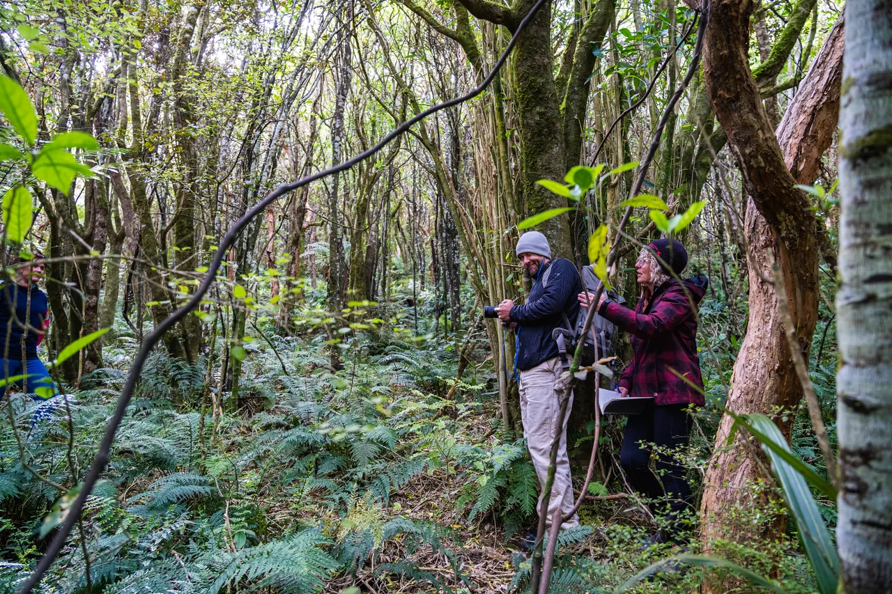 People standing in the bush
