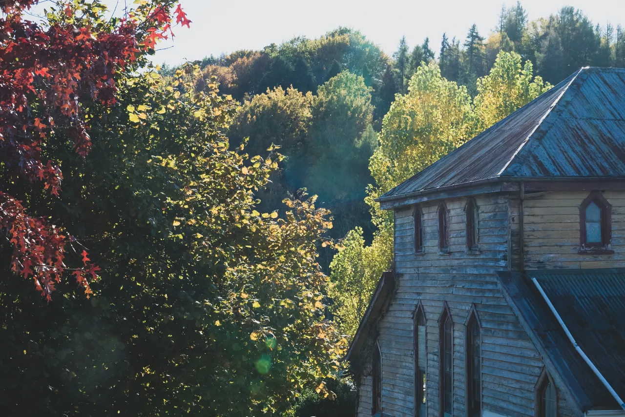 Old building and trees