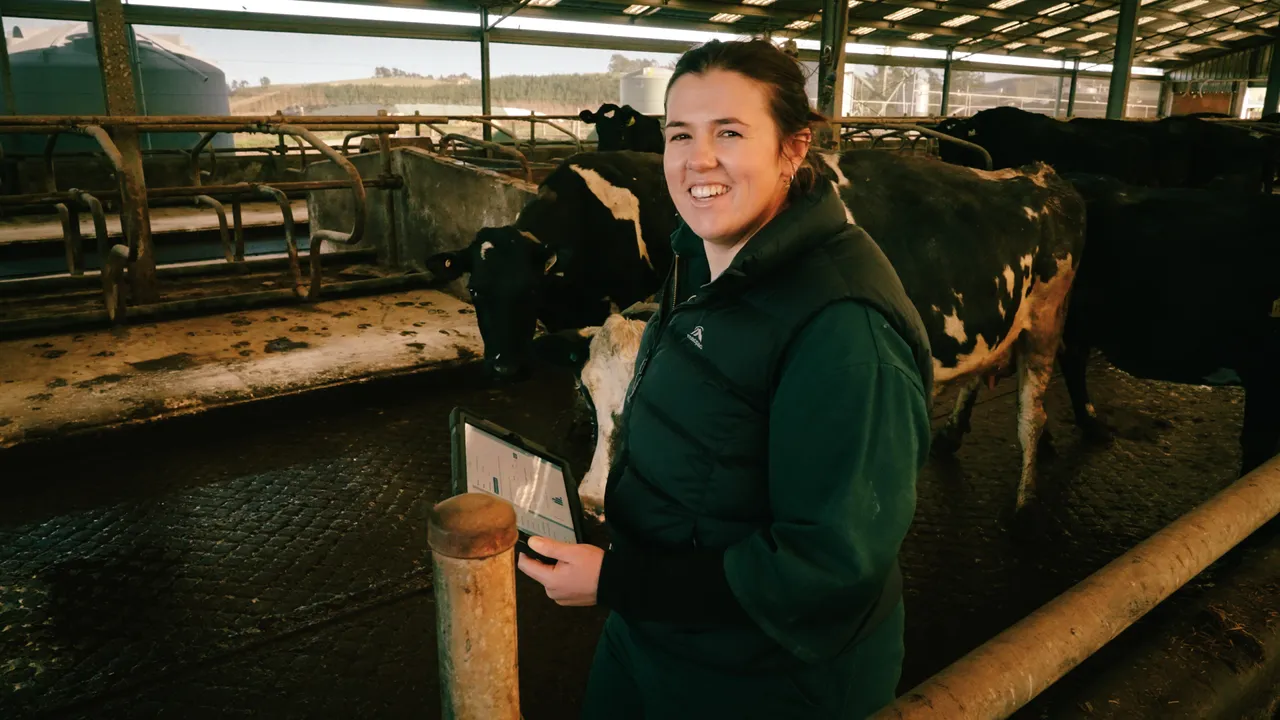 0825-Clutha-VetSouth-102