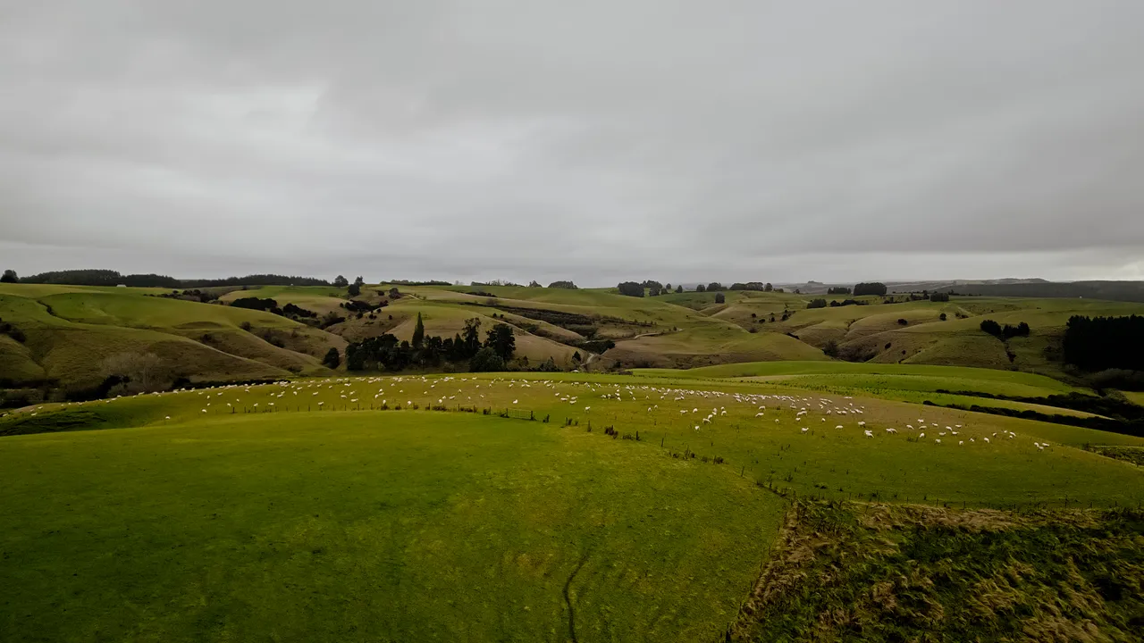 0624-Clutha-Sarahs-Farm-58