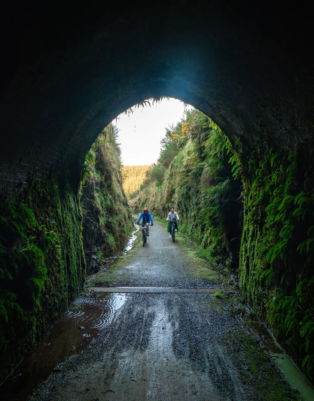Clutha Gold Trail - Mt Stuart - Spring 2025 - credit Brook Sabin (3)