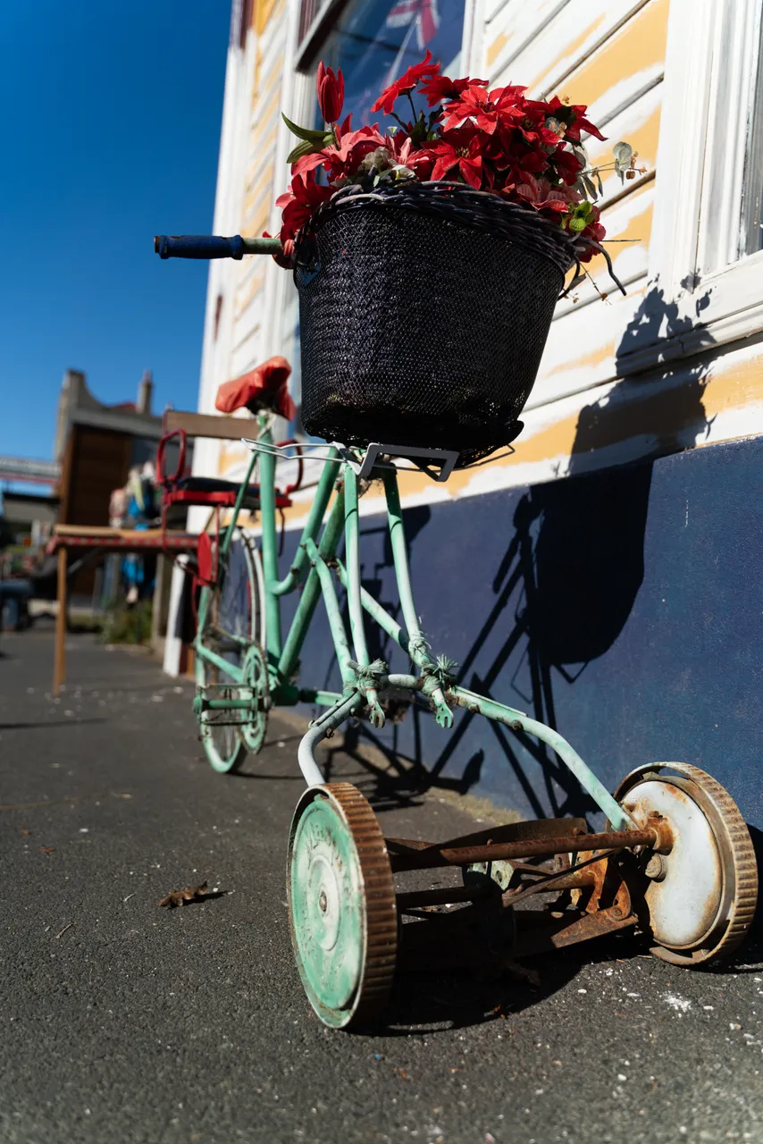 Bike with flowers in basket