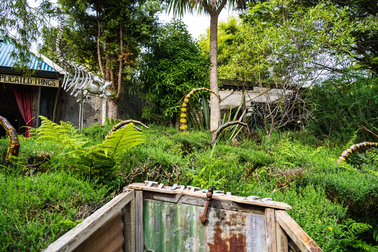 Ferns and grass and trees