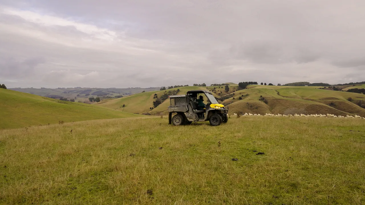 0624-Clutha-Sarahs-Farm-44