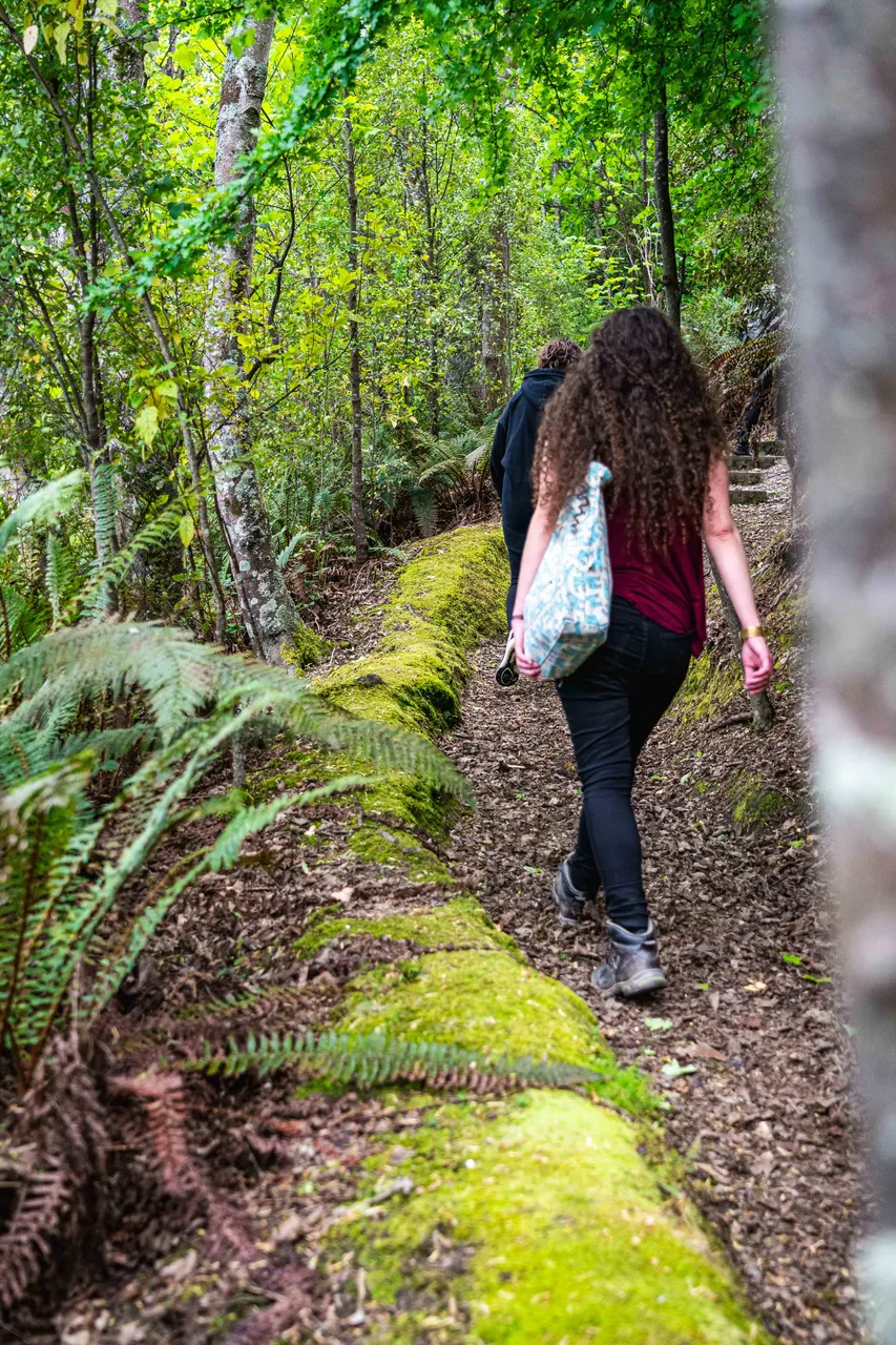 People walking in the bush
