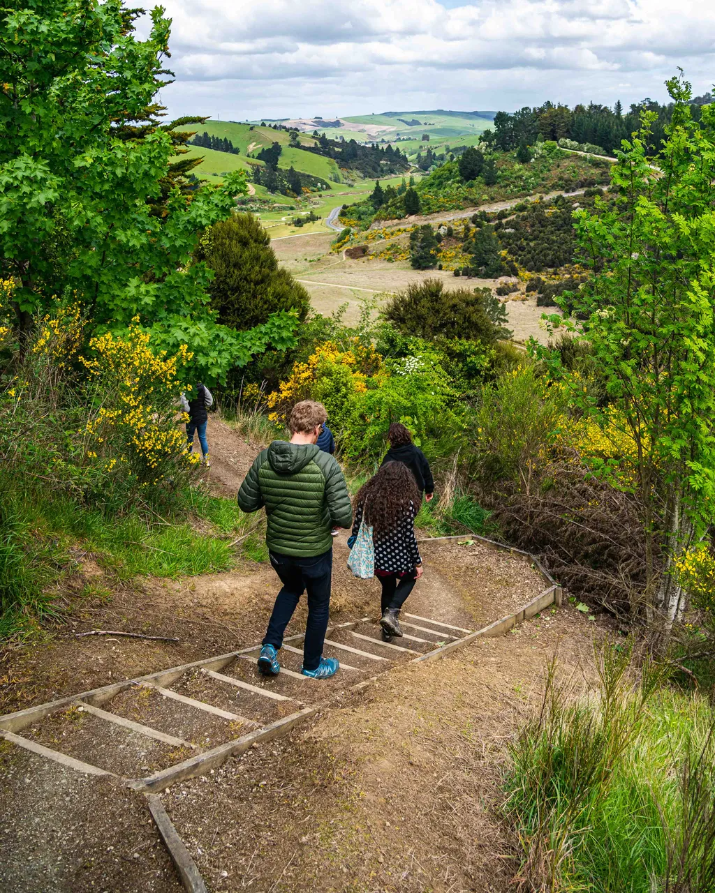 People walking in the bush