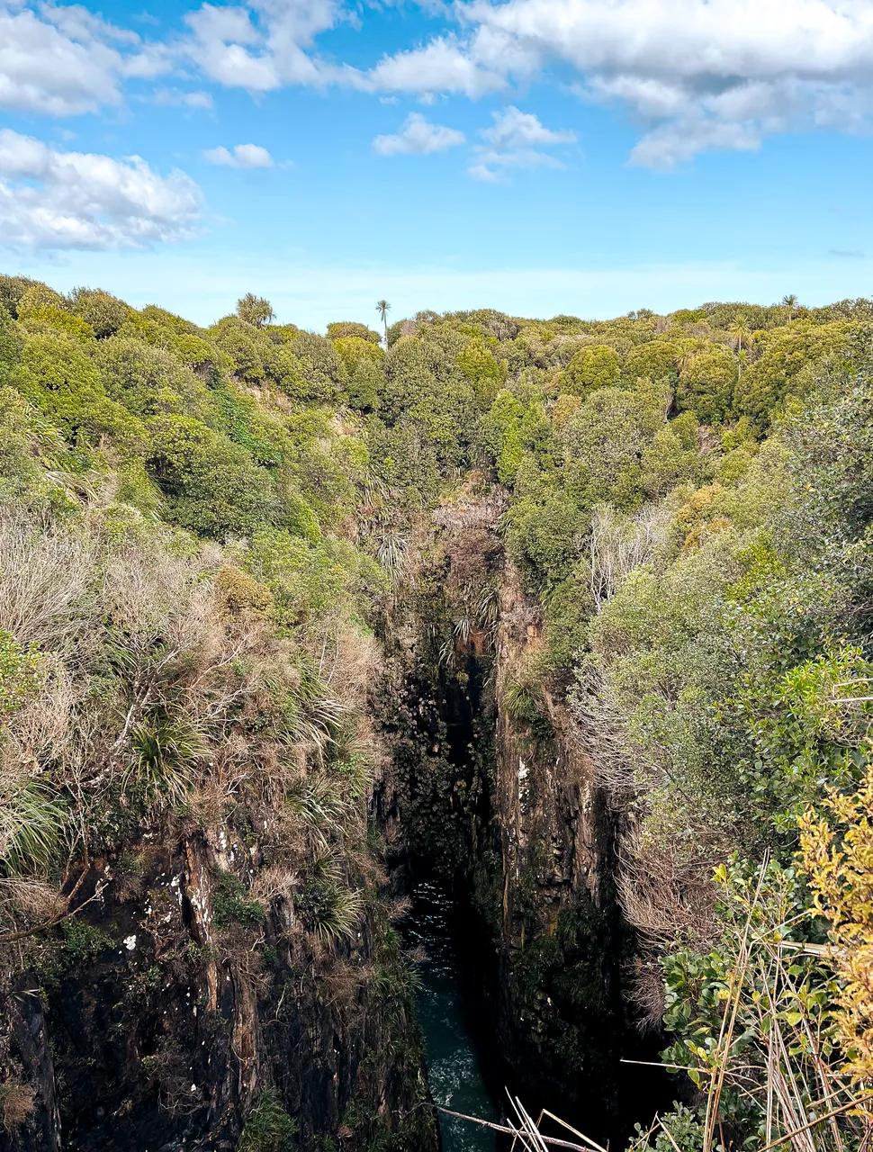 0924-Clutha-Jacks-Bay-08