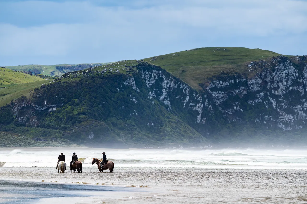 Horses on the beach by the sea