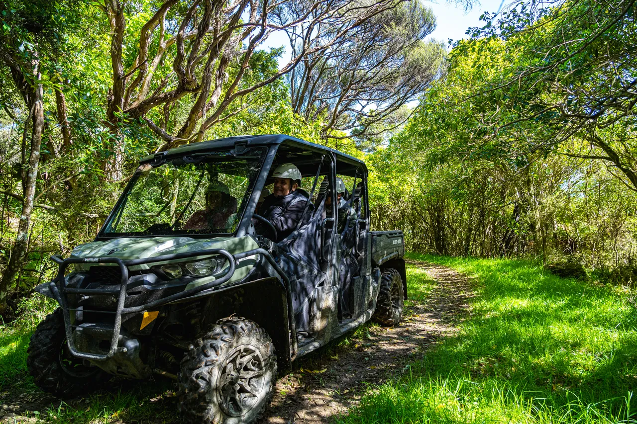 Side by side driving through bush