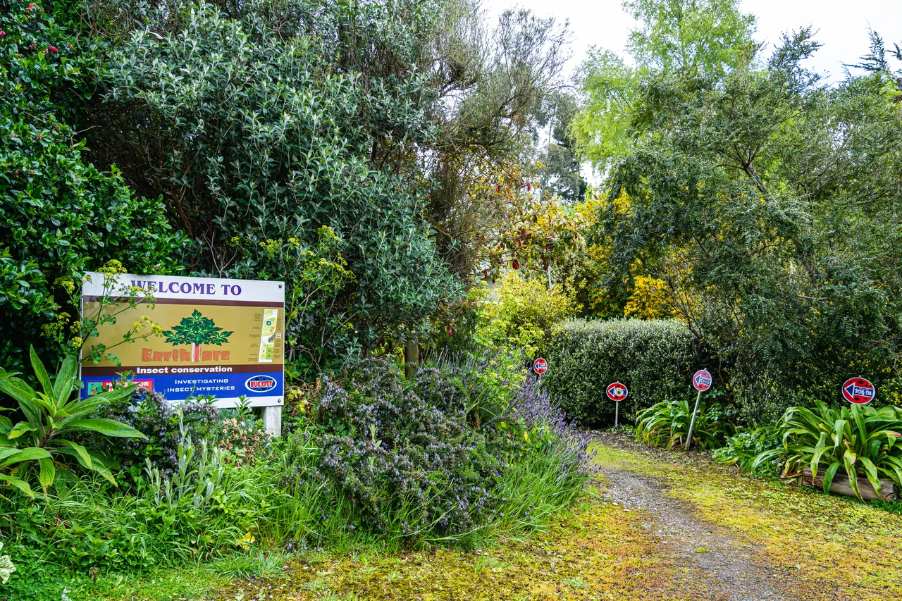 Path through the trees