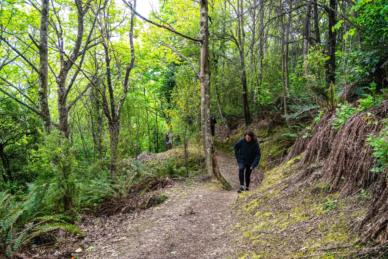People walking in the bush