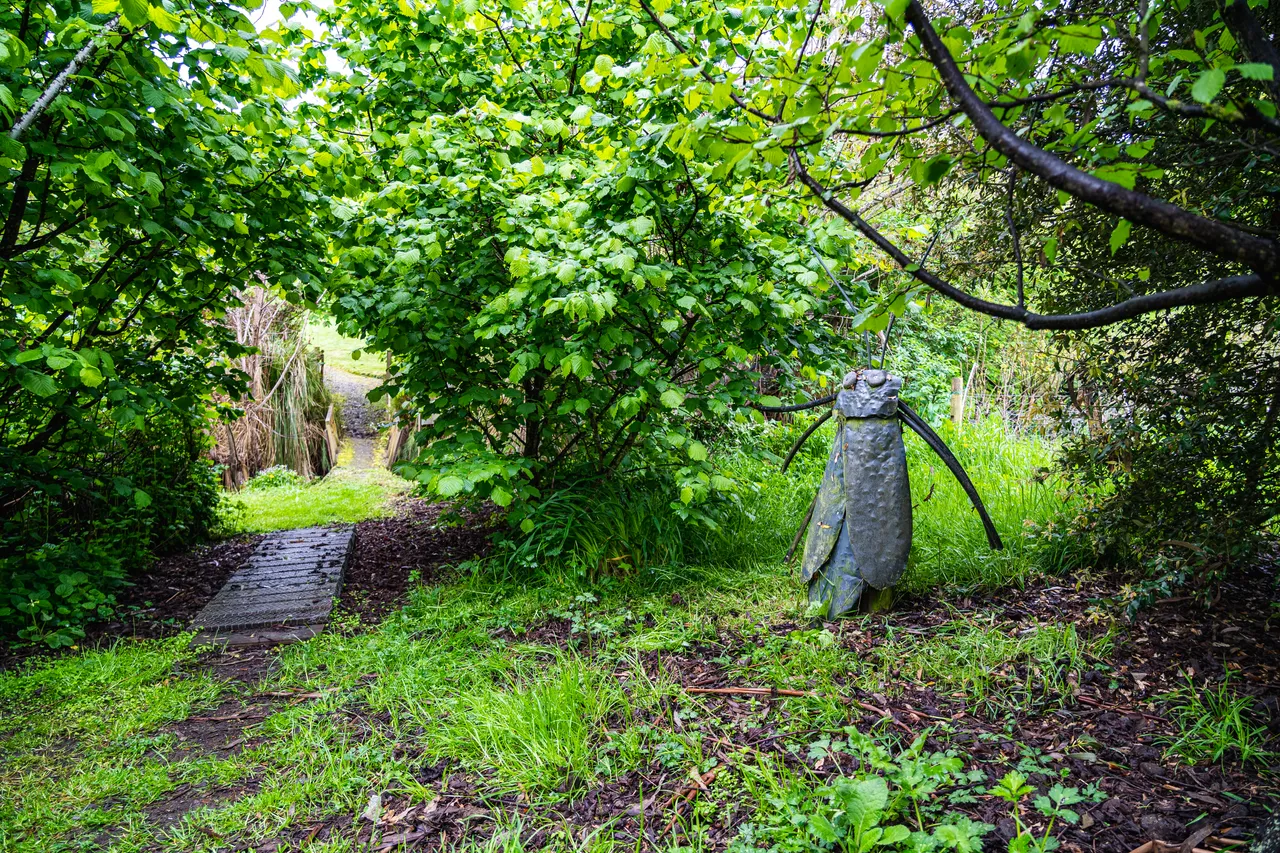 Bug sculpture and track in the bush