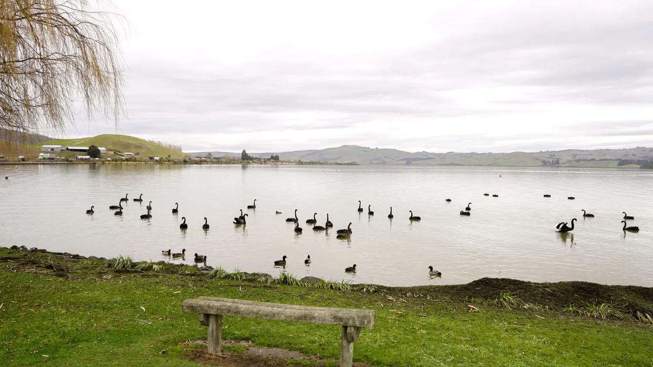 0624-Clutha-Bike-Trail-009