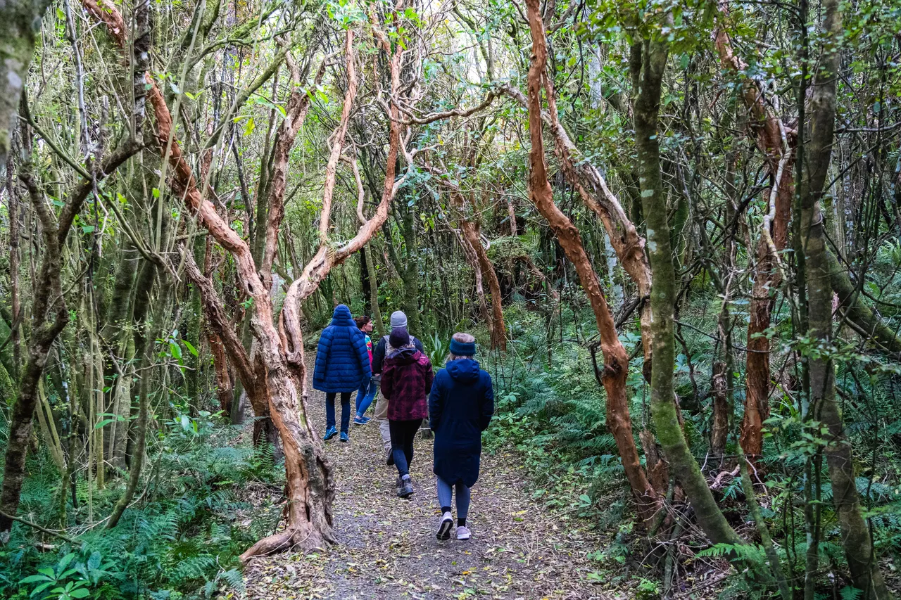 People walking in the bush