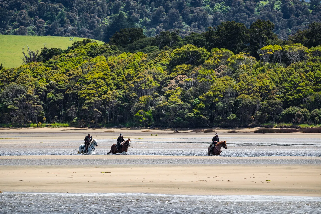 Horses on the beach by the sea